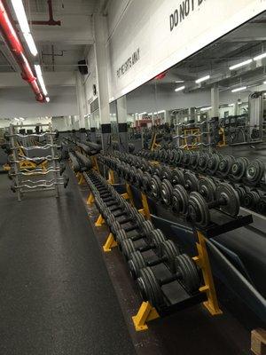 MUSCLEWORKS GYM