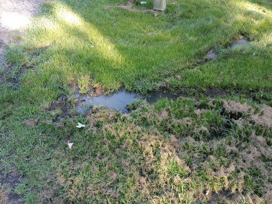 Poop and urine pipes busted in many places in old campground.in my opinion