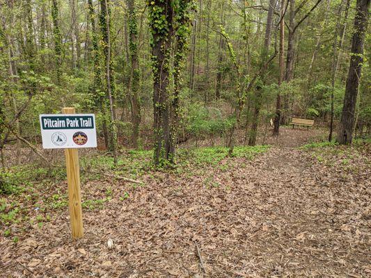 Trail at Pitcairn Park, Tega Cay