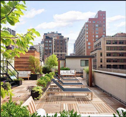 Roof Terrace