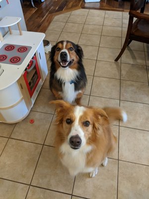 Edgar and Ruby, two satisfied customers