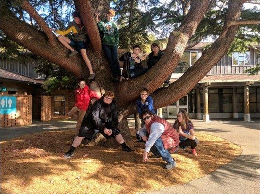 APL High School students during outing to the Woodland Park Zoo, 2018-19 school year.