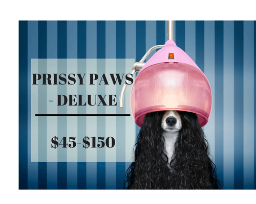 PRISSY PAWS DELUXE-THE PERFECT OPTION FOR DOGS THAT NEED A LITTLE MORE PAMPERING! DOGS SHOULD GET THIS SERVICE EVERY 4 WEEKS.