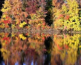 Fall color scene in Anson County