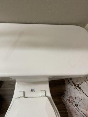 Stained toilet cover