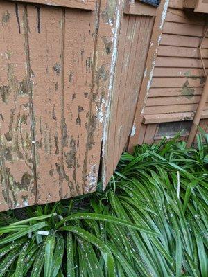 before-notice siding does not meet and the damage to the wood