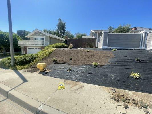 Weed barrier and mulch