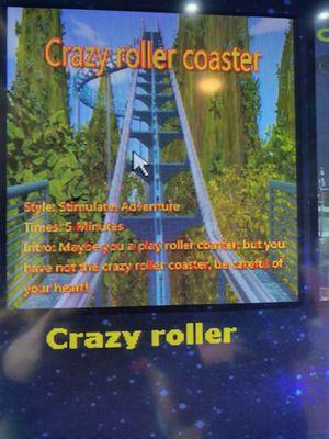 Crazy Roller coaster...so fun!