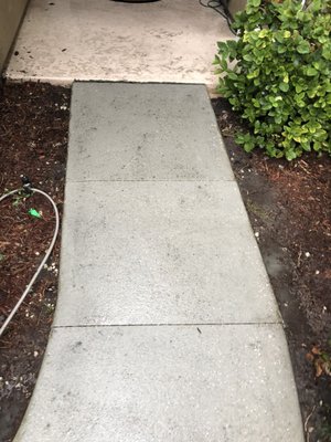 Pressure washing!