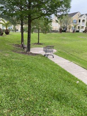 Carts just being pushed to the side after using them