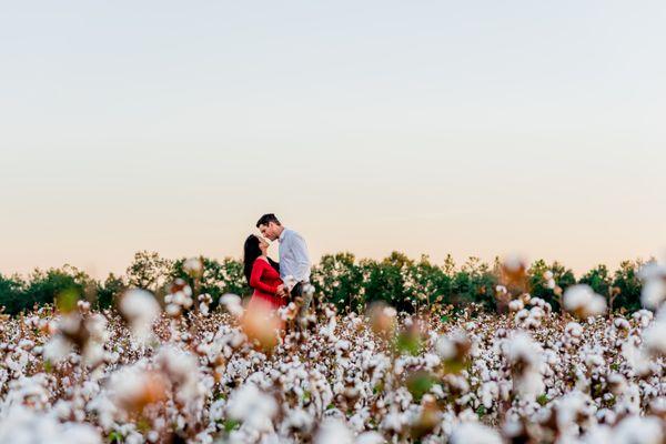 Maternity Photography Session at Holland Farms, Milton FL in October