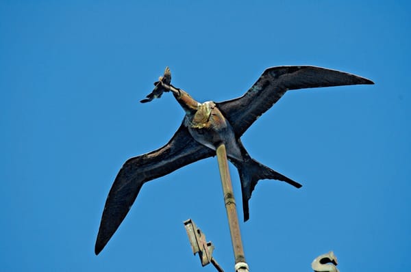 'Iwa with fish in mouth wind vane on Lili'uokalani Church steeple