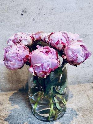 Peonies are back!