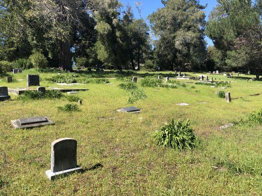 Felton Cemetery Association