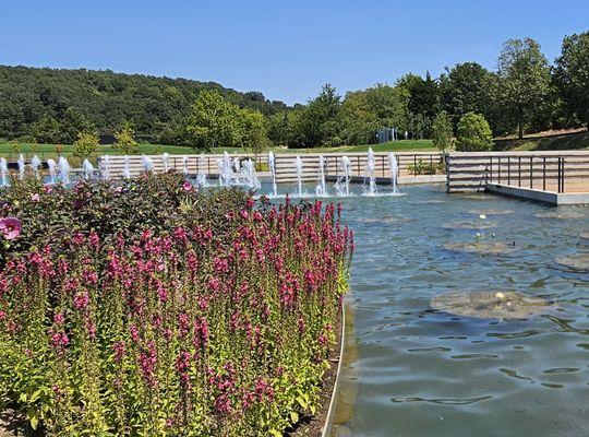 The Bumgarner Family Foundation Lotus Pool is a circular aquatic garden with water jets, overlooks, lotus, water lilies and floating gardens