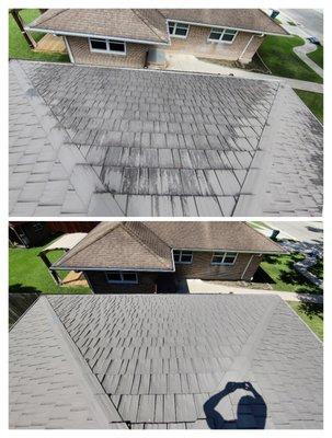 Roof cleaning before and after