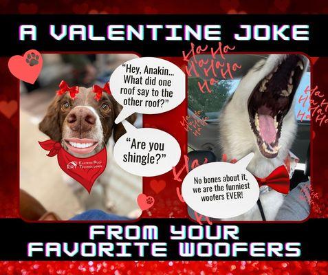 Happy Valentine's Day to all of the Woofers and Woofees!