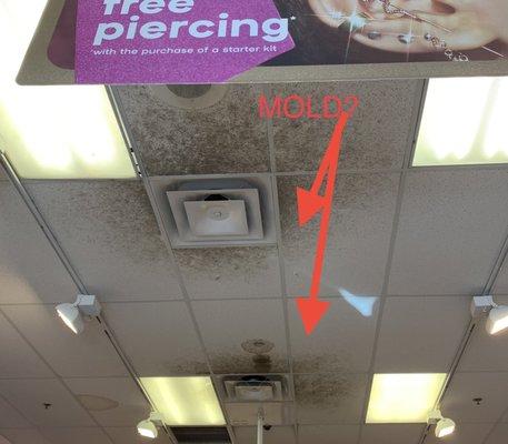 Claires... free piercing but how much does the mold cost?