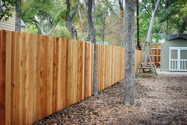 Wood Privacy Fence - Western Red Cedar with Tree Incorporated in Fence Line