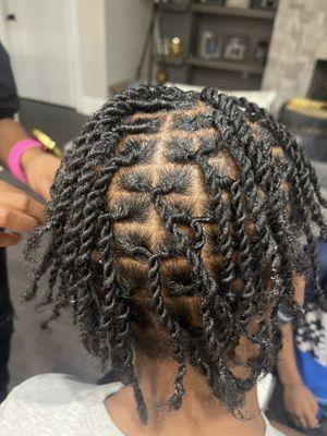 Starter locs with two strand twist