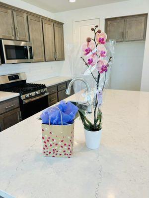 A little house-warming gift and orchid for Necia