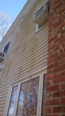 Vinyl siding before cleaning