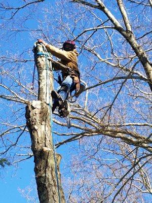 Blessing Tree Service NJ