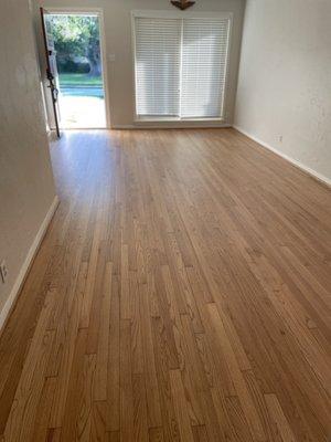 Joe Hardwood Floors