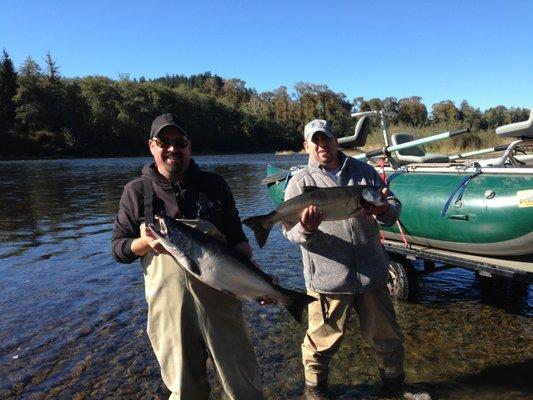 A couple of shiny Silver Salmon Olympic Peninsula