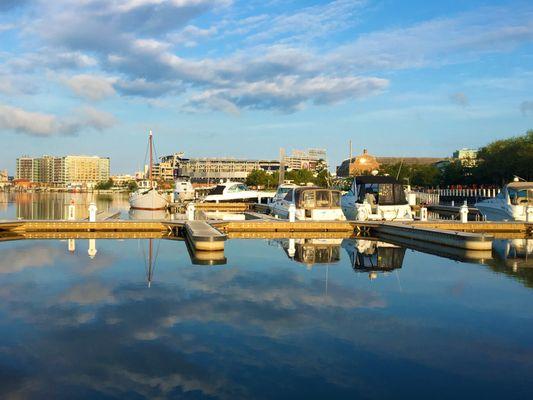 The Yards Marina, National's Park in background