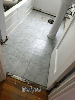 Bathroom painting and flooring