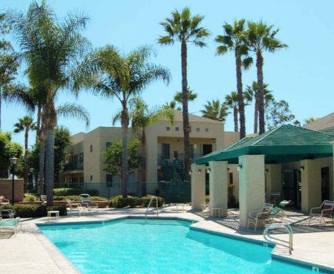 Pool and Spa Area