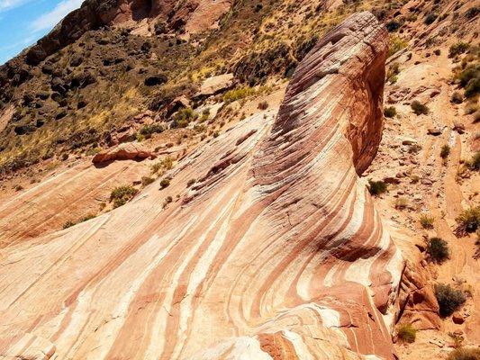 Valley Of Fire