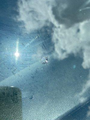 Cracked windshield