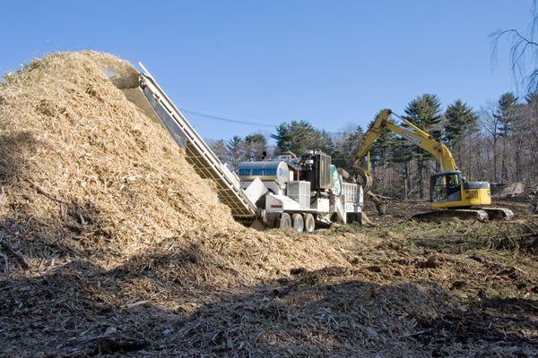 Land Clearing