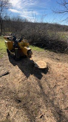 Stump Grinding