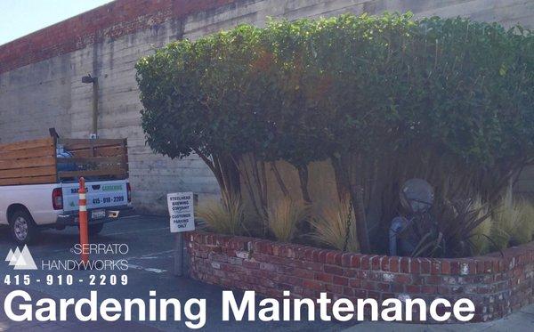 Gardening Maintenance