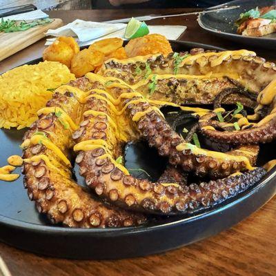 Grilled octopus with rice & papas endiabladas.