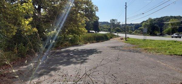 This is taken from next to the sign. Irondequoit Bay to the left, on the other side of the trees and cattails.