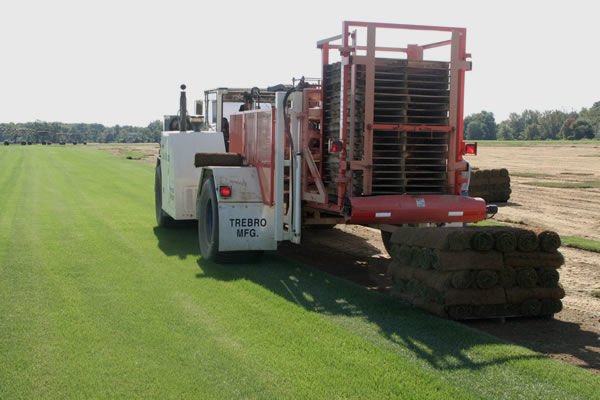 Reed's Sod Farm