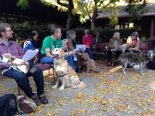 Blessing of the Animals service in the Courtyard