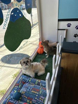 Two little ones hanging out in the front play area by the window.