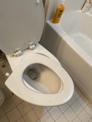 Broken toilet seat