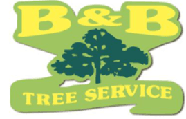 B and B Auto Service logo