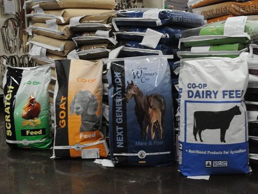 Feed for all kinds of farm animals and pets