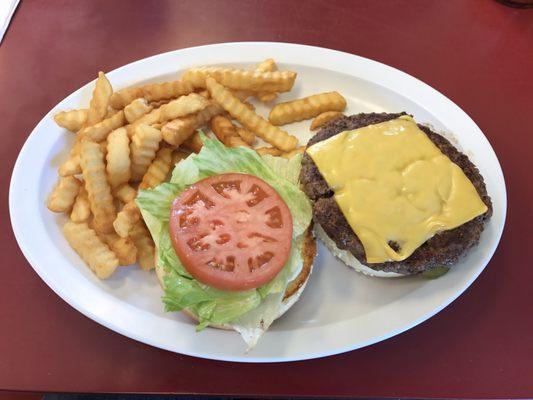 Hand-made Cheeseburger and premium quality fries. Excellent food at this place !!!