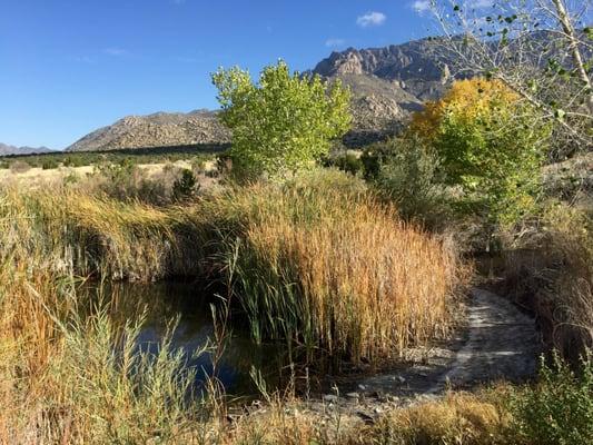 The view at the beginning of the hike from the Elena Gallegos picnic area.