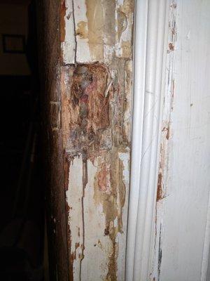 This is what our door frame looked like when we took the strike plate out of the door frame. It was literally just decaying.