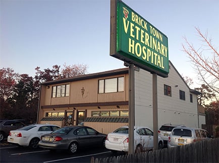 Welcome to Brick Town Veterinary Hospital