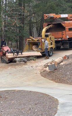 Tree removal - ground up about 8 large tree sections after cutting it down.